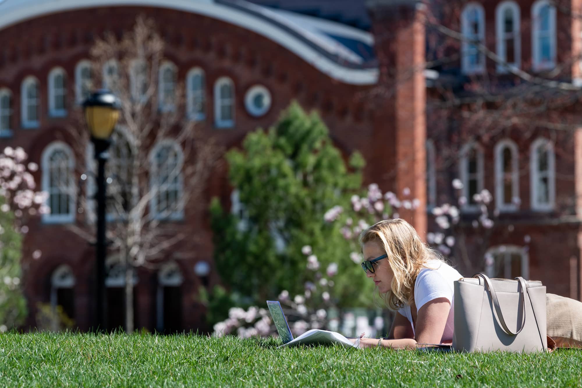 Student laying on the grass studying on campus